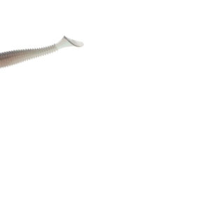 Zoom Z Swim 3.8 6-bag Pro Blue Red Pearl