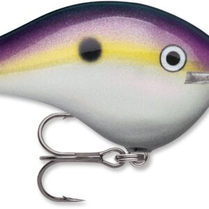 Rapala DT Series 10' 3-5oz 2.25in Bluegill