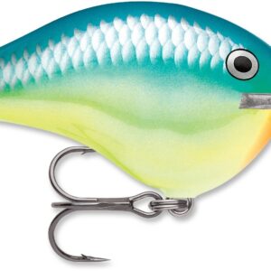 Rapala DT Series 10' 3-5oz 2.25in Caribbean Shad