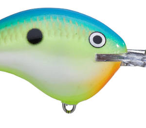 Rapala DT Series 10' 3-5oz 2.25in Citrus Shad