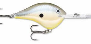 Rapala DT Series 10' 3-5oz 2.25in Disco Shad