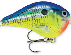 Rapala DT Series 10' 3-5oz 2.25in Parrot