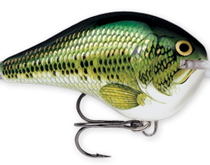 Rapala DT Series 10' 3-5oz 2.25in Live River Shad
