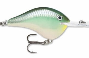 Rapala DT 20' Series Blue Back Herring