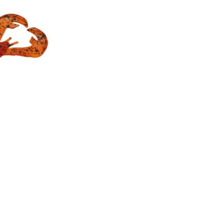 Strike King Rage Baby Craw 3in 9pk Fire Craw