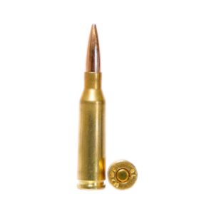 Global Ordnance Rifle Ammunition 5.45x39mm 55gr FMJ 2854 fps 30-ct