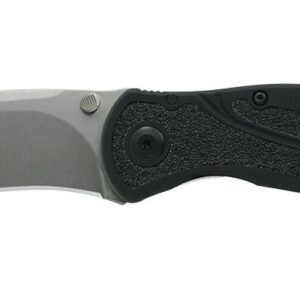 Kershaw Knife Blur - S30V