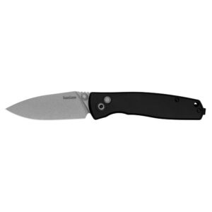 Kershaw Kindred Folding Knife 3" Spear Point Blade Black