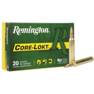Remington Core Lokt Rifle Ammunition 300 Rem Ultra 180 gr PSP 3175 fps 20-ct