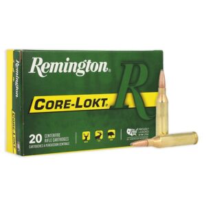 Remington Core-Lokt Rifle Ammunition .243 Win 100 gr PSP 2960 fps 20-ct