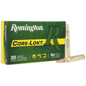 Remington Core-Lokt Rifle Ammunition .30-06 Sprg 180 gr PSP 2700 fps 20-ct
