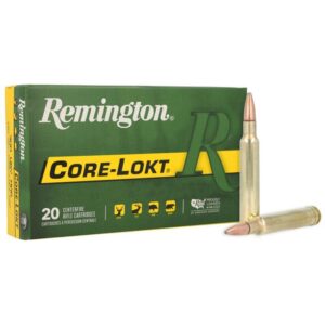 Remington Core-Lokt Rifle Ammunition .300 Wby 180 gr PSP 3120 fps 20-ct