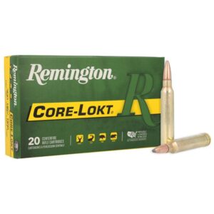 Remington Core-Lokt Rifle Ammunition .300 Win Mag 180 gr PSP 2960 fps 20-ct