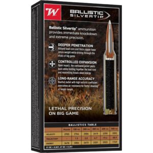 Winchester Ballistic Silvertip Rifle Ammunition .300 Win Mag 180 gr. PT 2950 fps 20-ct