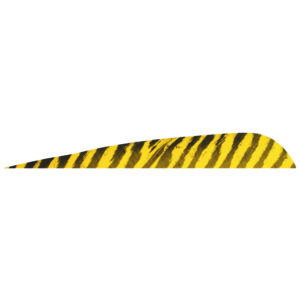 Gateway Barred Feathers Yellow 5 In. Rw 50 Pk.