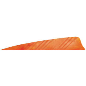 Gateway Shield Cut Feathers Tre White-orange 4 In. Rw 50 Pk.
