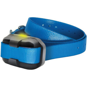 Dogtra 280x Additional Receiver Blue