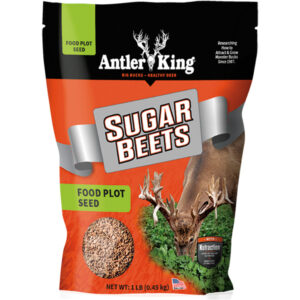 Antler King Sugar Beets Seed 1-8 Acre