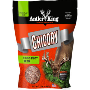 Antler King Chicory Seed 1-4 Acre