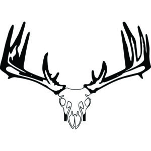 Raxx Crossbow Hanger Whitetail Skull