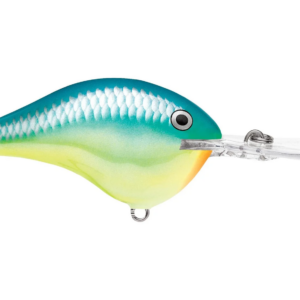 Rapala  Dives-To 12 Caribbean Shad