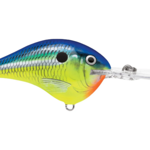 Rapala  Dives-To 12 Parrot