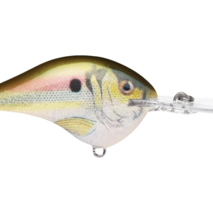 Rapala  Dives-To 12 Live River Shad
