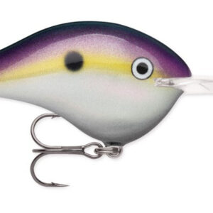 Rapala DT 20' Series Big Shad
