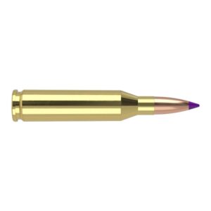Nosler Ballistic Tip Varmint Rifle Ammunition .243 Win 70gr BT SP 3500 fps 20-ct