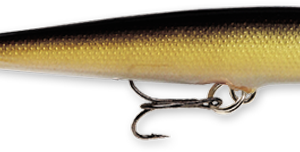 Rapala Floater 2" 1-16 Gold